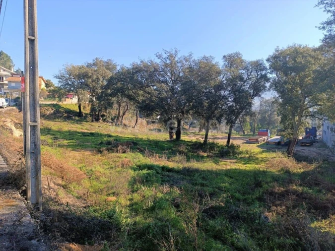 Terreno para Venda em Alpendorada, Várzea e Torrão Foto 4