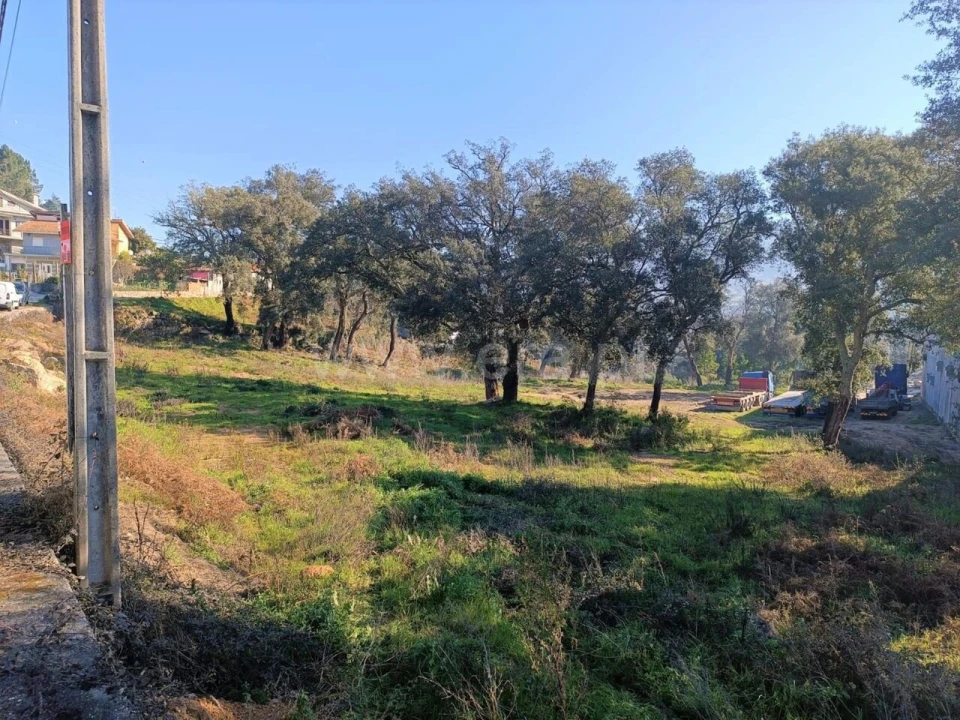 Terreno para Venda em Alpendorada, Várzea e Torrão Foto 4