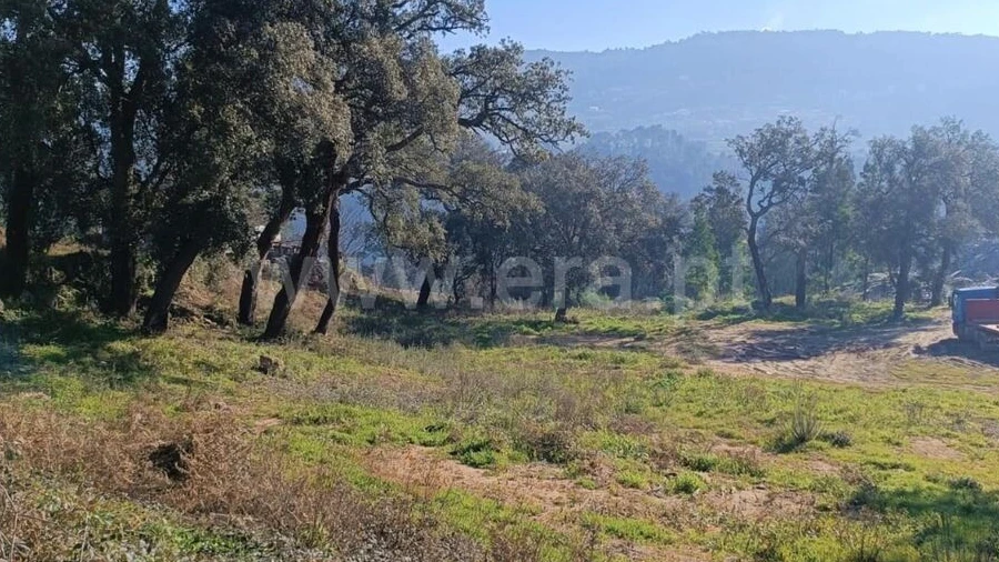 Terreno para Venda em Alpendorada, Várzea e Torrão