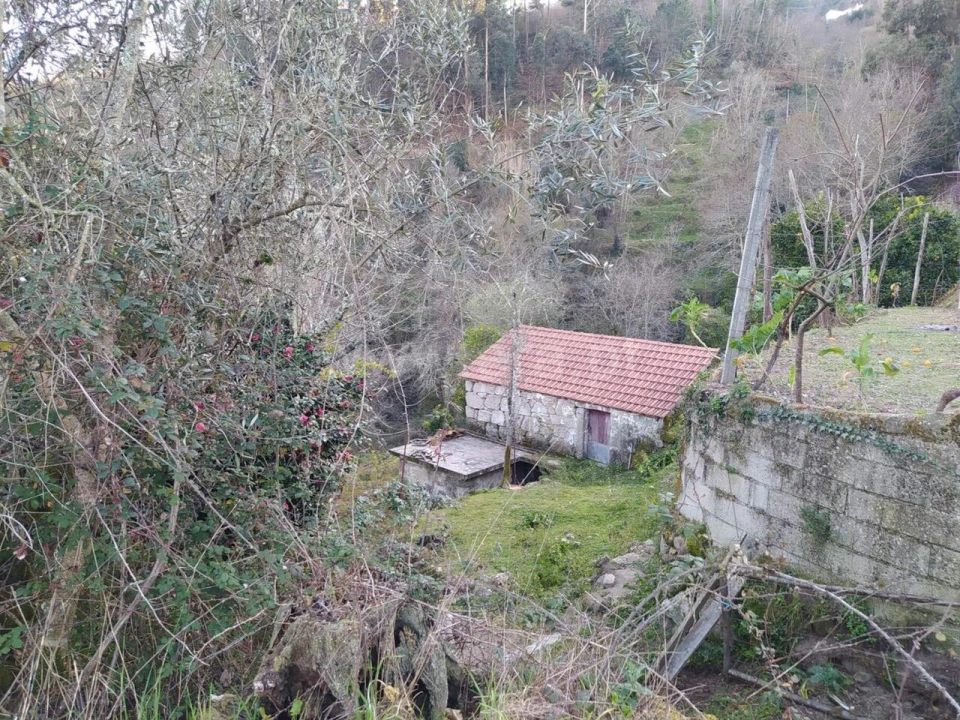 Terreno para Venda em Cinfães Foto 6
