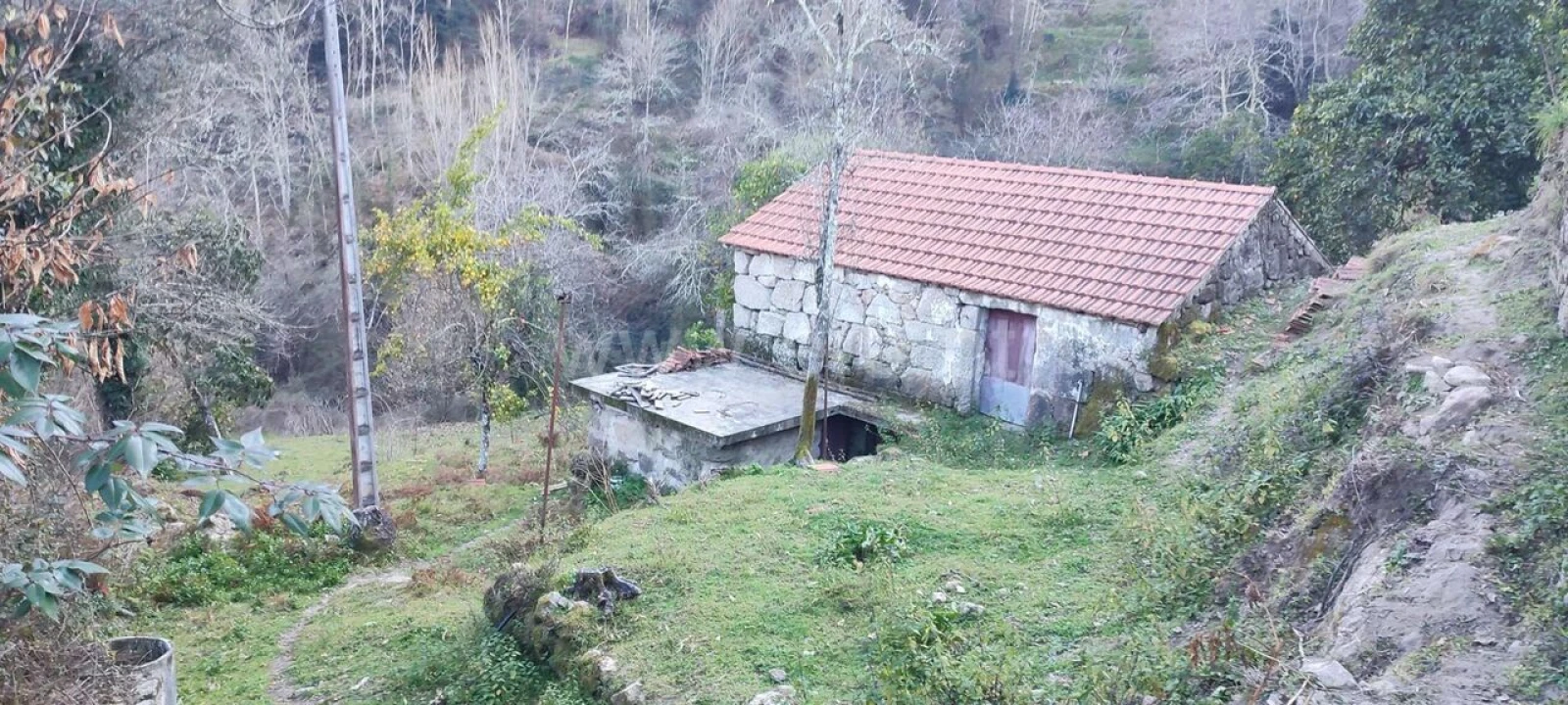 Terreno para Venda em Cinfães Foto 4