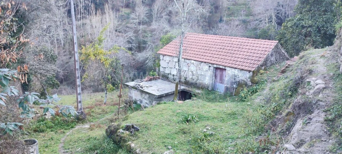 Terreno para Venda em Cinfães Foto 4