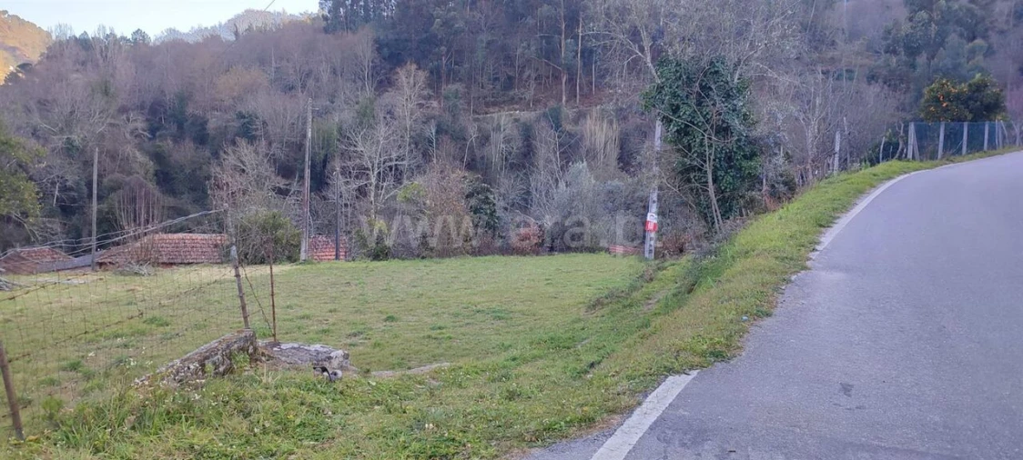 Terreno para Venda em Cinfães Foto 2