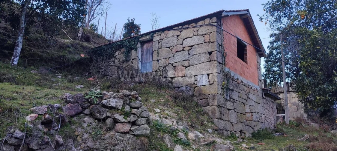 Terreno para Venda em Cinfães Foto 1