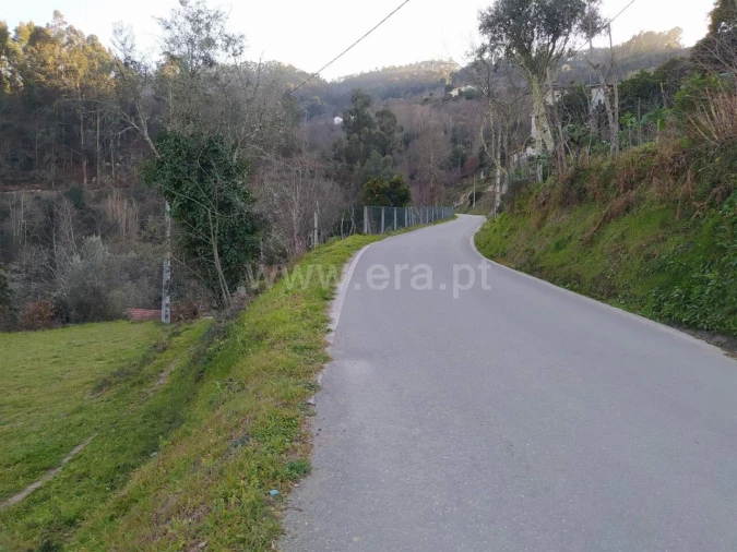 Terreno para Venda em Cinfães Foto 8
