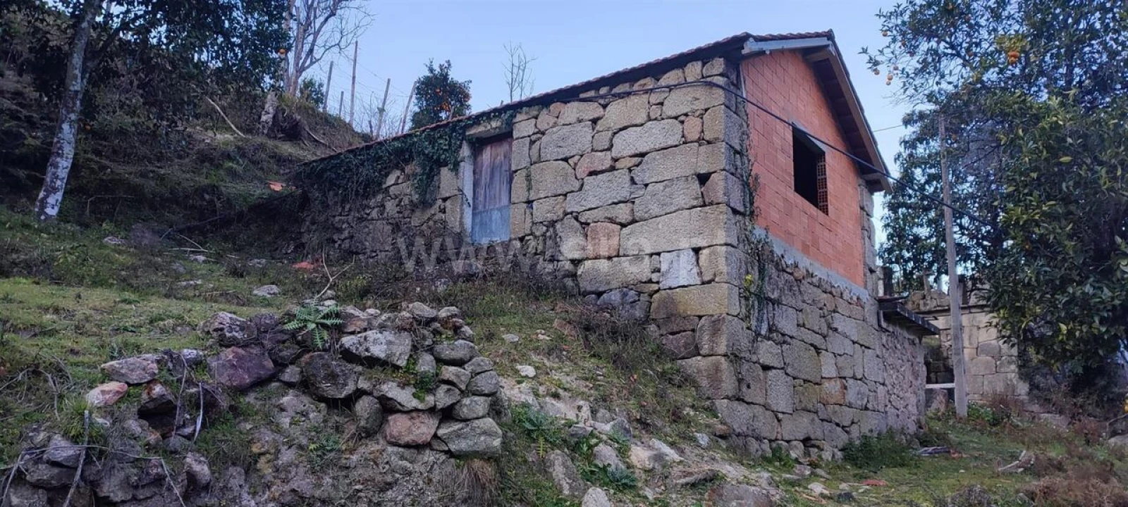 Terreno para Venda em Cinfães Foto 1