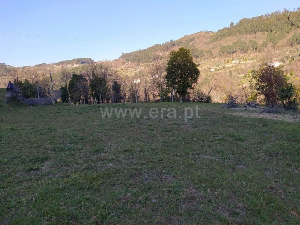 Terreno para Venda em Cinfães Foto 7