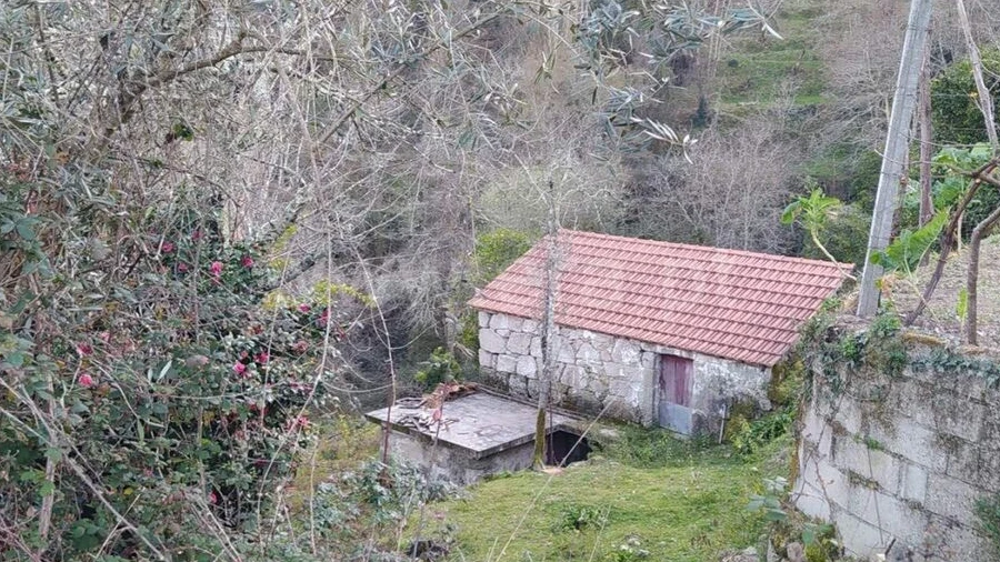 Terreno para Venda em Cinfães