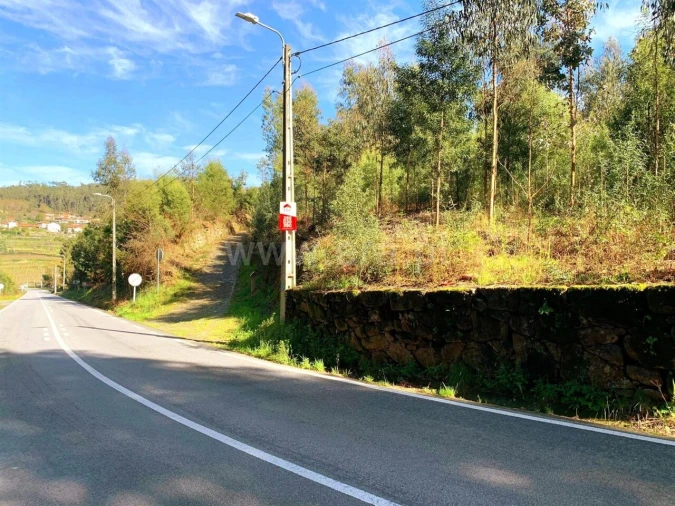 Terreno para Venda em Vila Boa do Bispo Foto 1