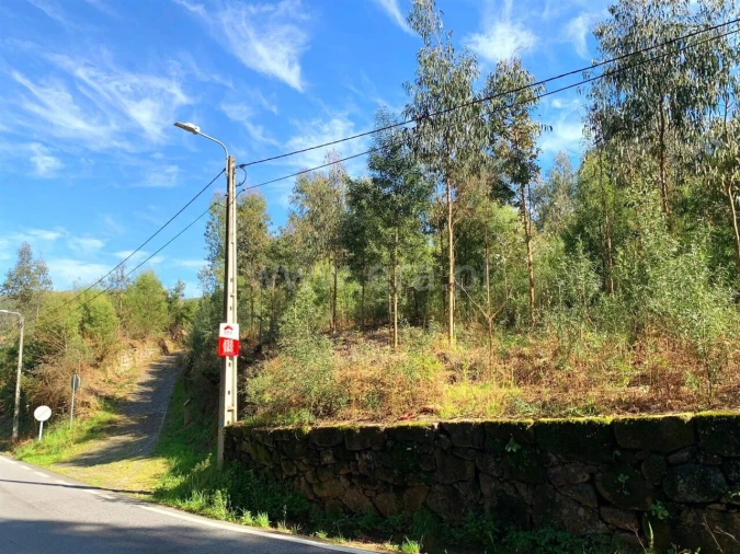 Terreno para Venda em Vila Boa do Bispo Foto 15