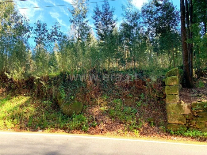 Terreno para Venda em Vila Boa do Bispo Foto 11