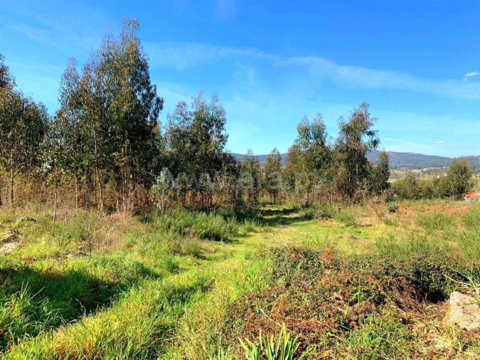 Terreno para Venda em Vila Boa do Bispo Foto 5