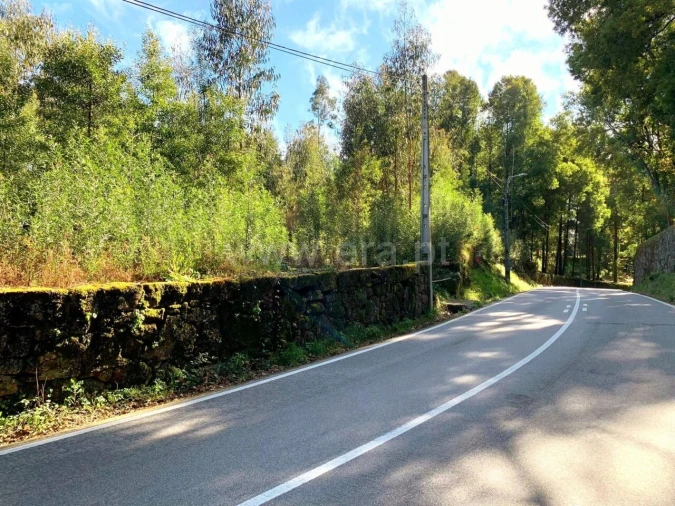 Terreno para Venda em Vila Boa do Bispo Foto 10