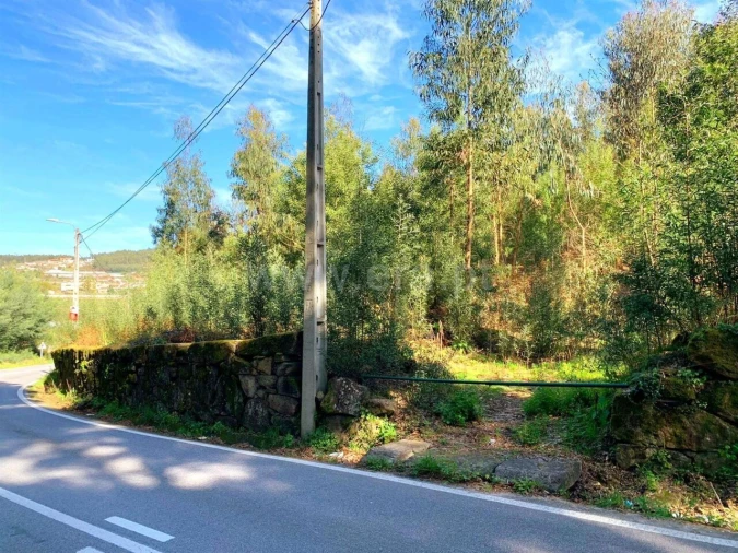 Terreno para Venda em Vila Boa do Bispo Foto 9