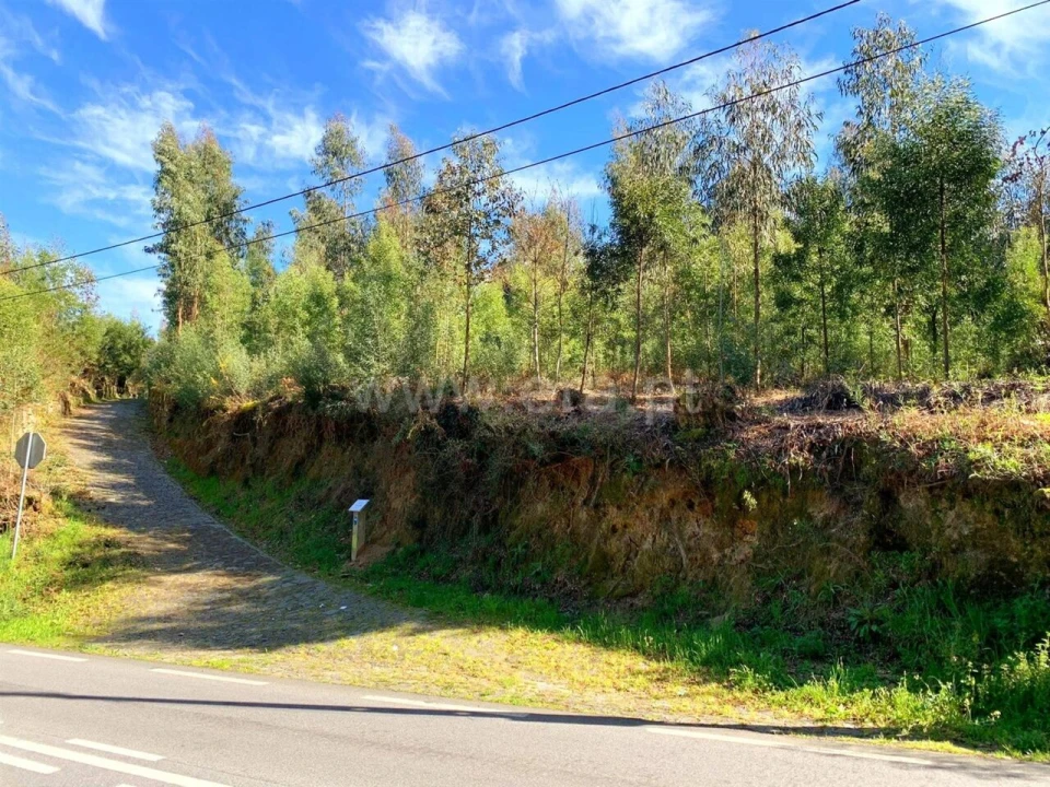 Terreno para Venda em Vila Boa do Bispo Foto 14