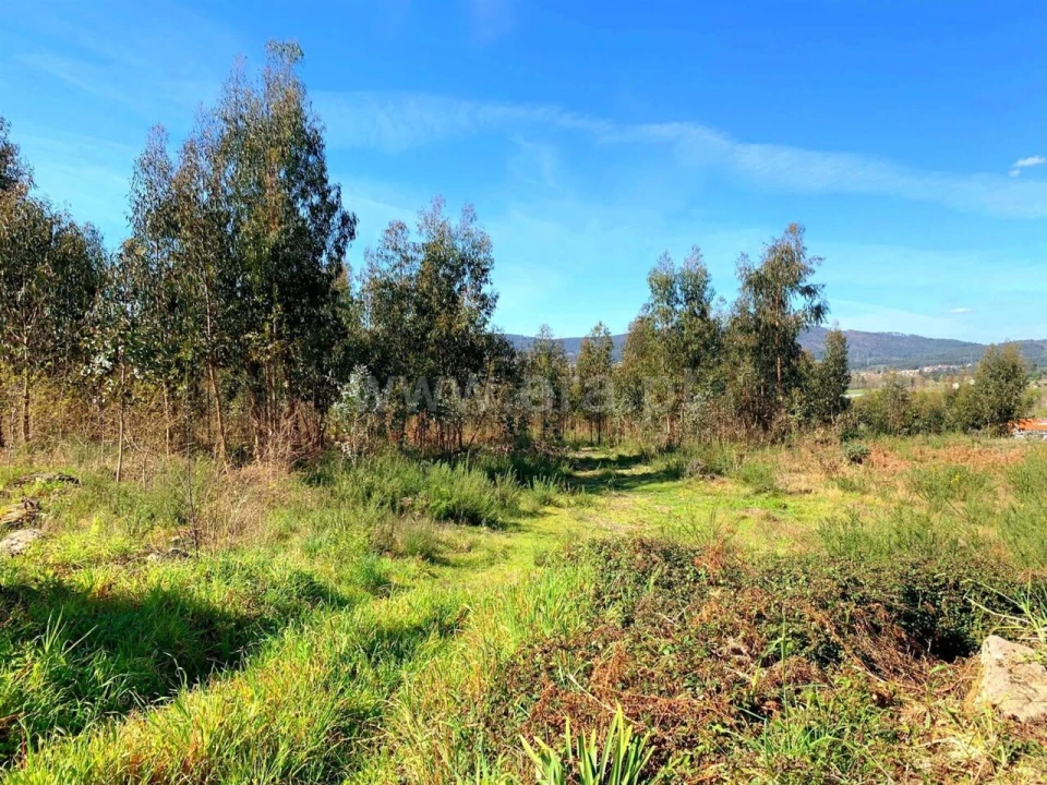 Terreno para Venda em Vila Boa do Bispo Foto 5