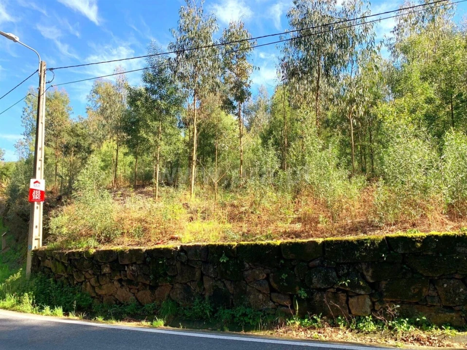 Terreno para Venda em Vila Boa do Bispo Foto 12