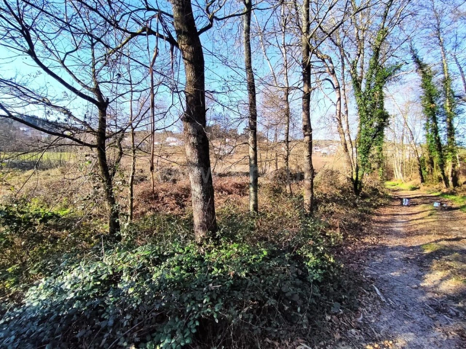 Terreno para Venda em Eiriz Foto 3