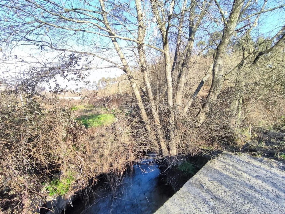 Terreno para Venda em Eiriz Foto 1