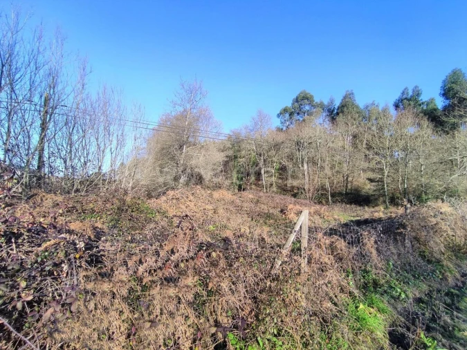 Terreno para Venda em Eiriz Foto 5