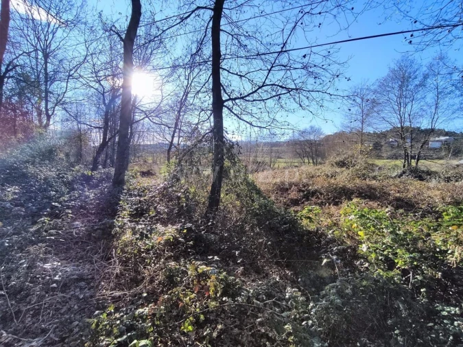 Terreno para Venda em Eiriz Foto 2