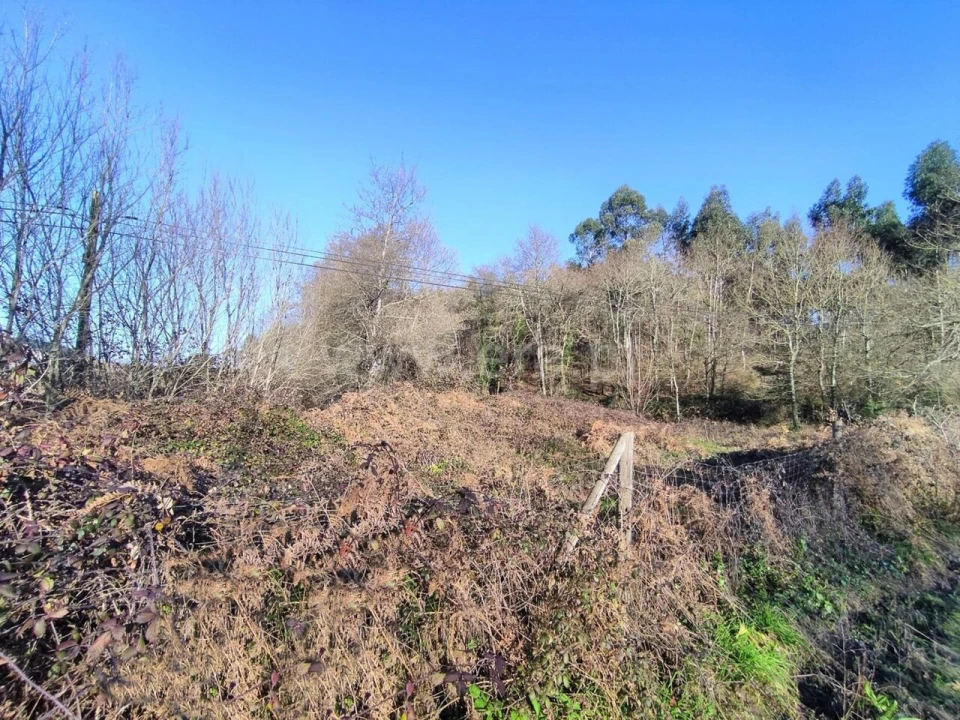 Terreno para Venda em Eiriz Foto 5