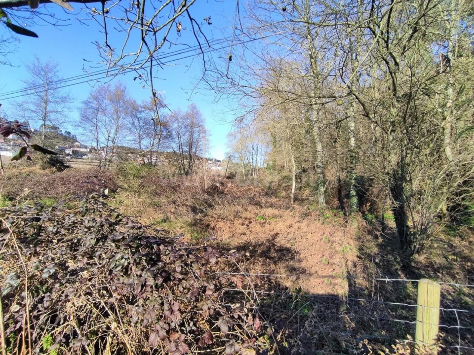 Terreno para Venda em Eiriz Foto 4