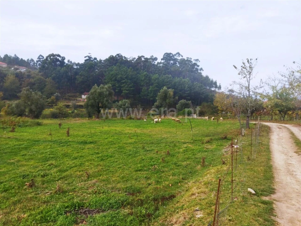 Quinta T0 para Venda em Tarouquela Foto 4