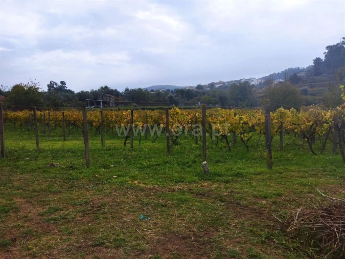 Quinta T0 para Venda em Tarouquela Foto 9