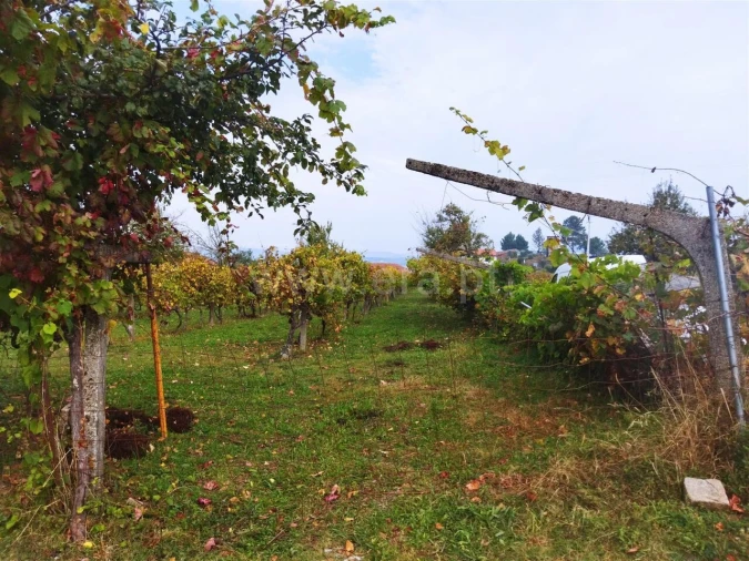 Quinta T0 para Venda em Tarouquela Foto 2