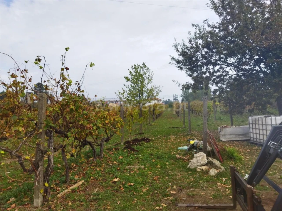 Quinta T0 para Venda em Tarouquela Foto 6