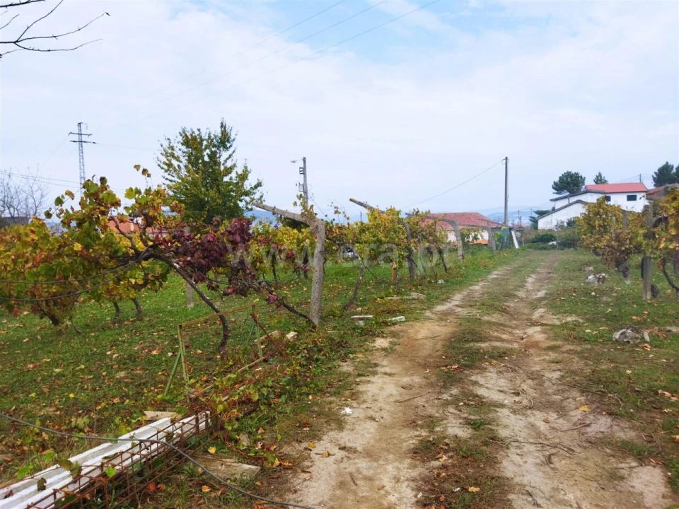 Quinta T0 para Venda em Tarouquela Foto 8