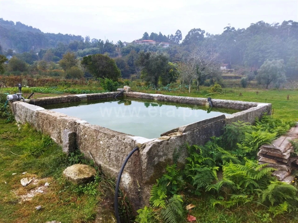 Quinta T0 para Venda em Tarouquela Foto 1