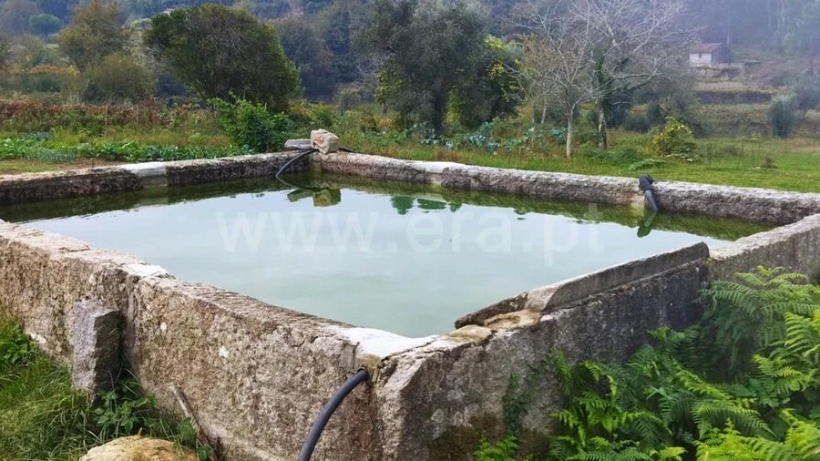 Quinta T0 para Venda em Tarouquela