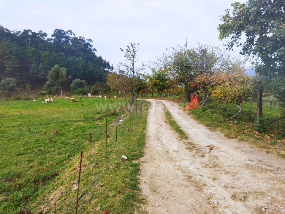 Quinta T0 para Venda em Tarouquela Foto 5