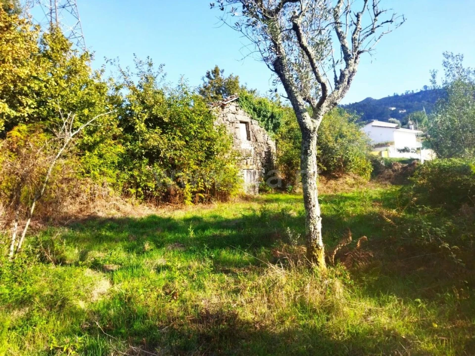 Quinta T0 para Venda em São Cristovão de Nogueira Foto 10