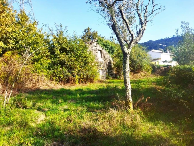 Quinta T0 para Venda em São Cristovão de Nogueira Foto 10