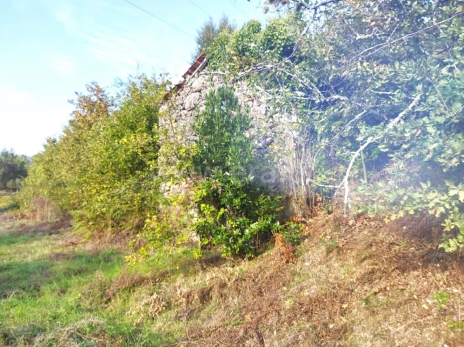 Quinta T0 para Venda em São Cristovão de Nogueira Foto 7