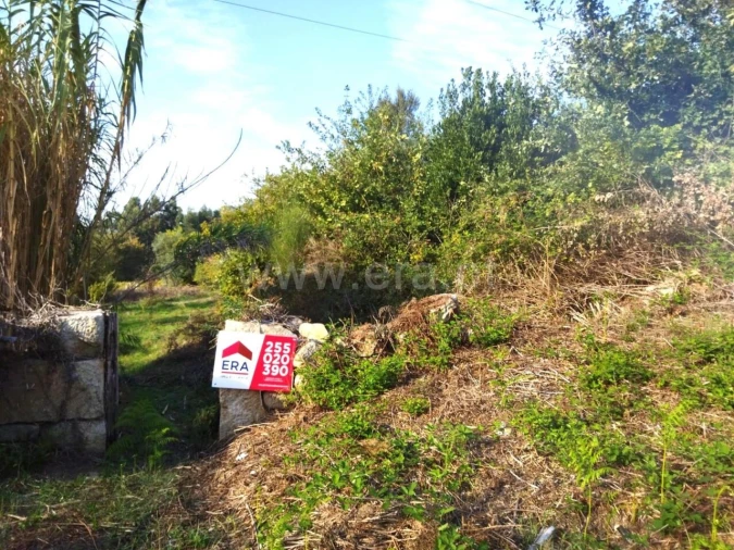 Quinta T0 para Venda em São Cristovão de Nogueira Foto 9