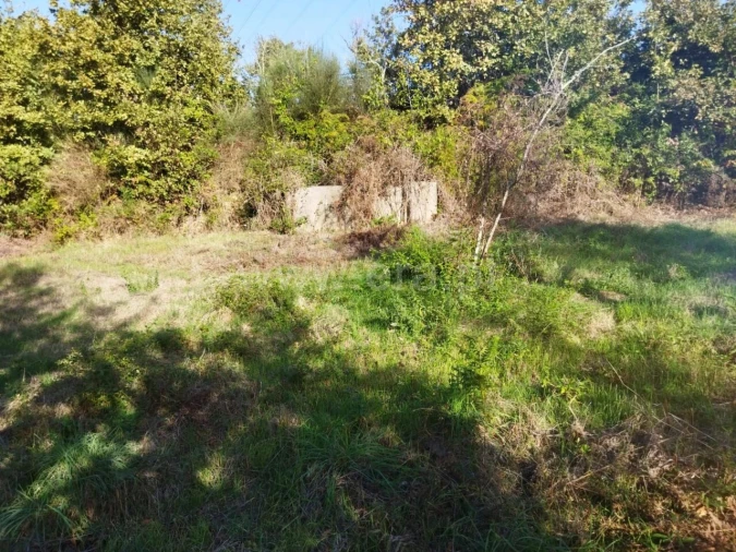 Quinta T0 para Venda em São Cristovão de Nogueira Foto 12