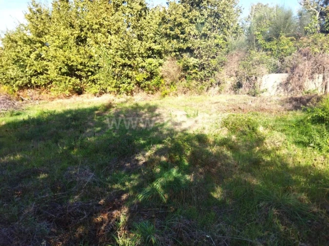 Quinta T0 para Venda em São Cristovão de Nogueira Foto 11