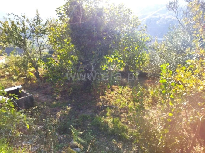 Quinta T0 para Venda em São Cristovão de Nogueira Foto 13