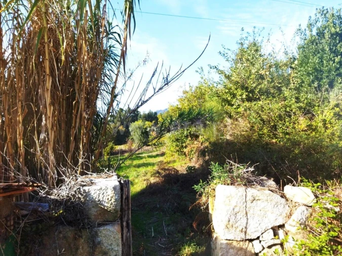 Quinta T0 para Venda em São Cristovão de Nogueira Foto 6