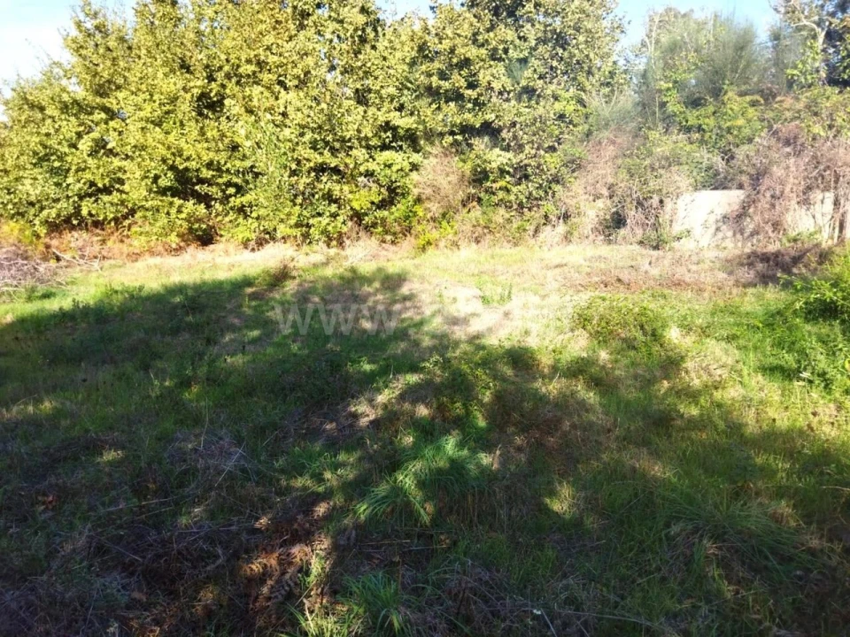 Quinta T0 para Venda em São Cristovão de Nogueira Foto 11