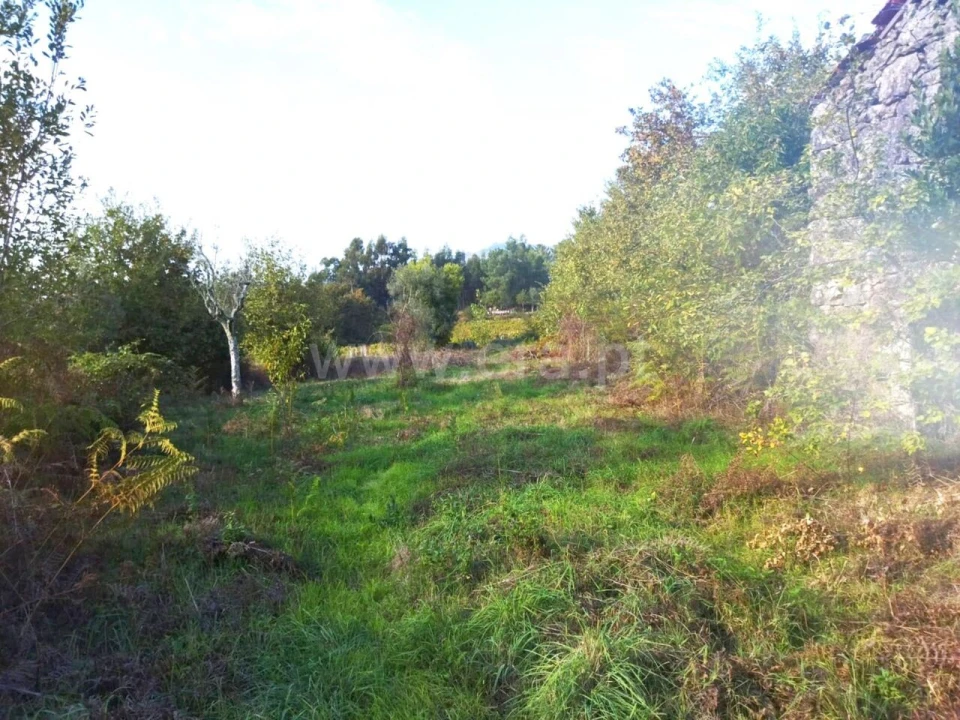 Quinta T0 para Venda em São Cristovão de Nogueira Foto 8