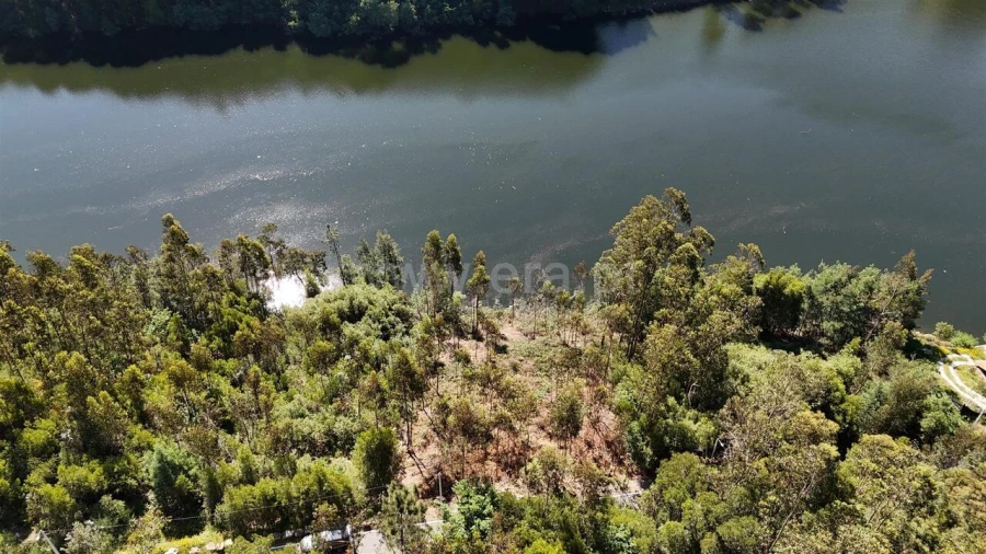 Terreno para Venda em Abragão Foto 1
