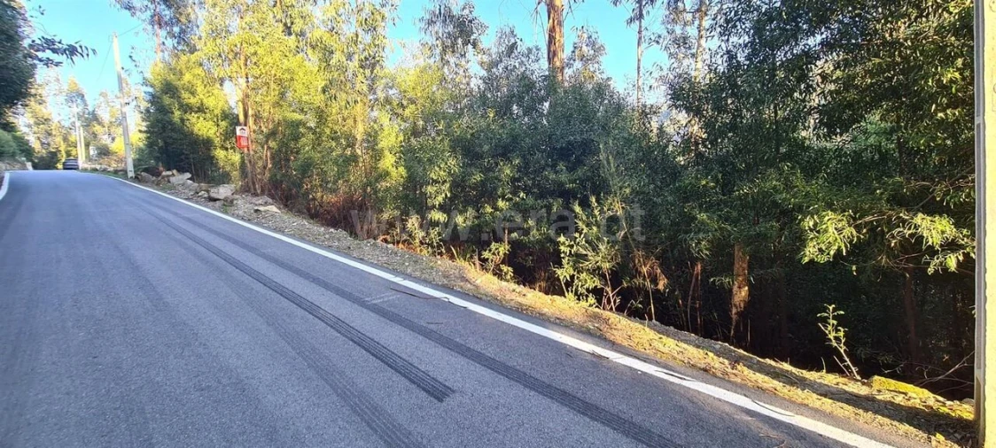 Terreno para Venda em Abragão Foto 2
