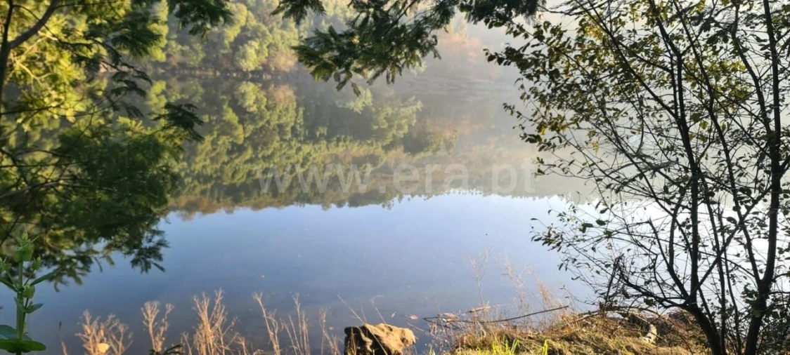 Terreno para Venda em Abragão Foto 6