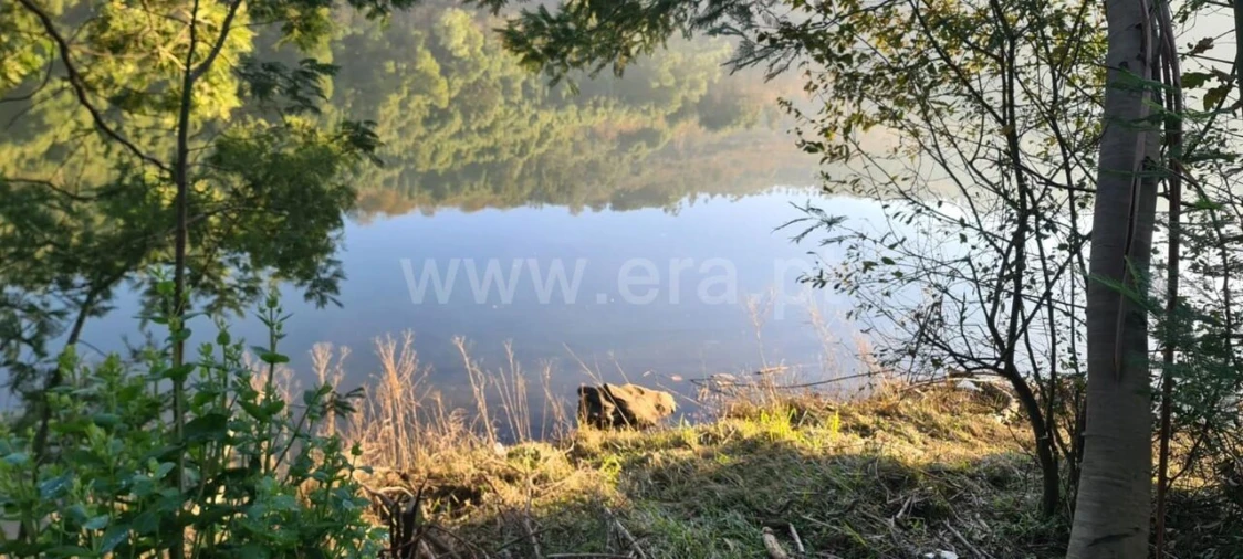 Terreno para Venda em Abragão Foto 7