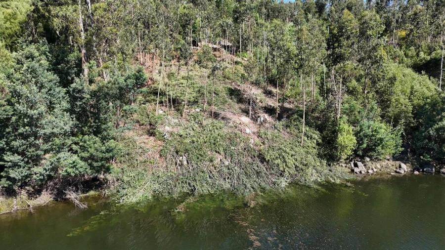 Terreno para Venda em Abragão Foto 16
